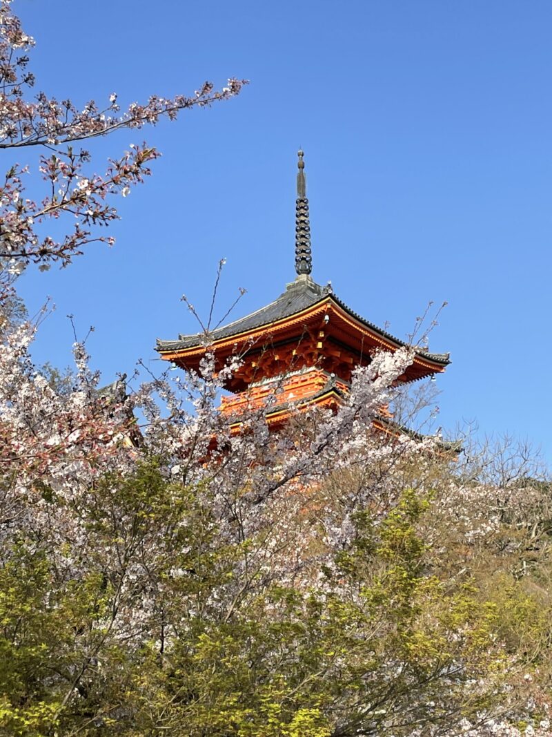 Youtubeに動画をアップしました 京都女ひとり旅珍道中 前編です いんげんブログ